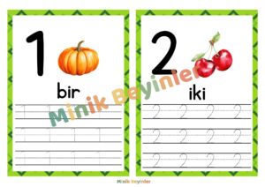 SAYI KARTLARI sayı kartları