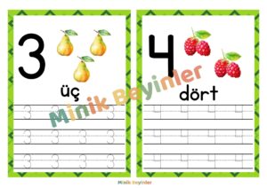 SAYI KARTLARI 2