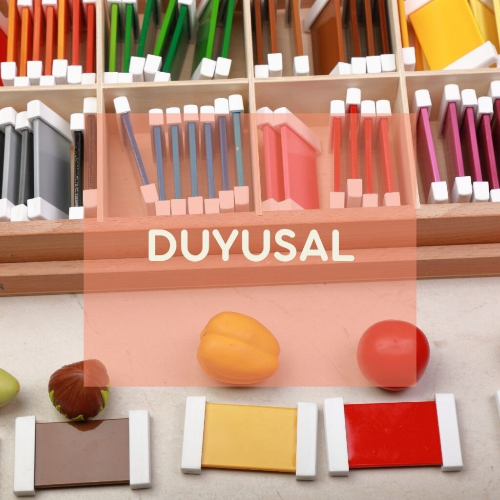 DUYUSAL ETKİNLİKLER