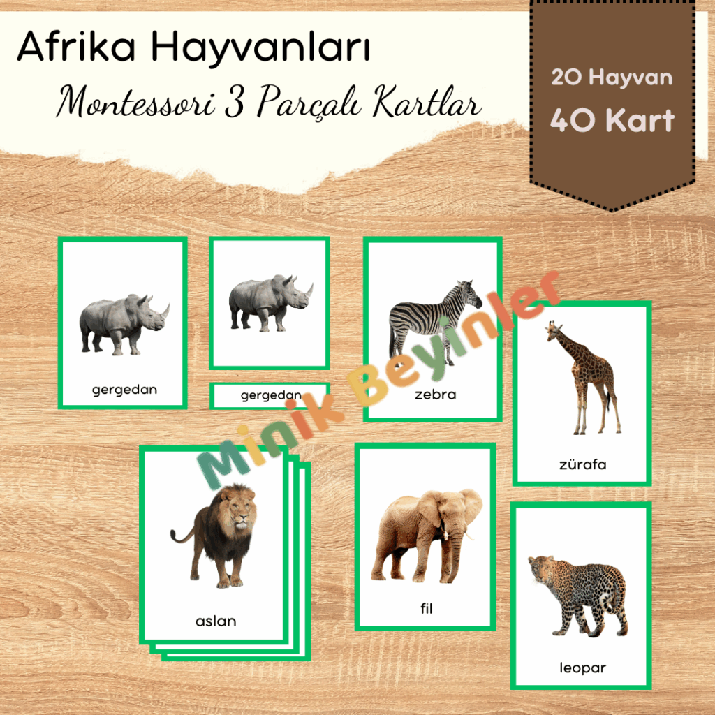Afrika Hayvanları – Montessori 3 Parçalı Kartlar afrika hayvanları 3 parçalı kartlar tanıtım