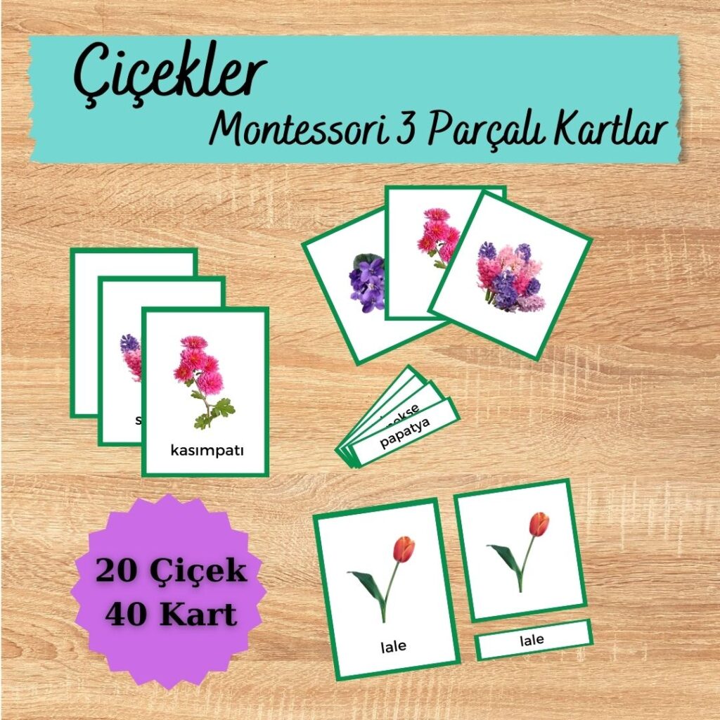 Montessori Çiçekler 3 Parçalı Kartlar çiçekler reklam