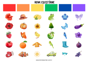 MONTESSORİ’DE DUYUSAL GELİŞİM renk ÇaliŞmasi